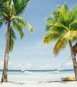 Two palmtrees on beach with hammock
