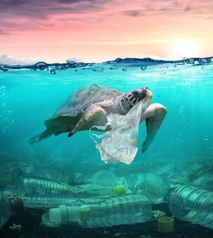 Turtle underwater surrounded by plastic pollution
